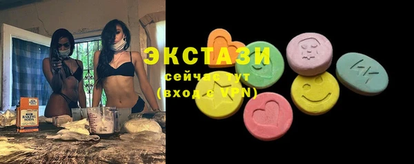 индика Мегион