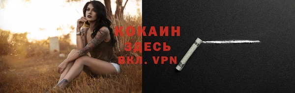 эйфоретик Баксан