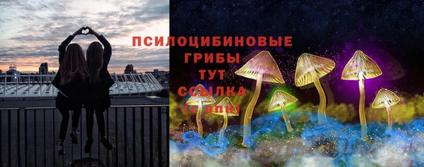 эйфоретик Баксан