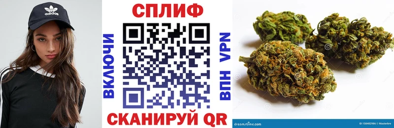 МАРИХУАНА ГИДРОПОН Сокол